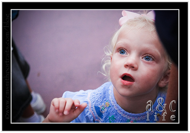 Disney08_09-037 Disney08_09-037